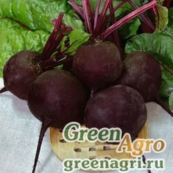 Семена Свекла столовая Хуторянка(продается на вес)