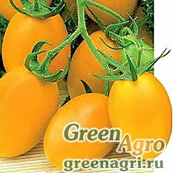 Семена Томат Де Барао золотой (упак-50 гр.)