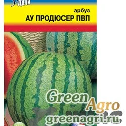 Арбуз Продюсер Урожай у дачи