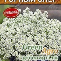 Семена пакетированные Алиссум Горный снег Аэлита Ц