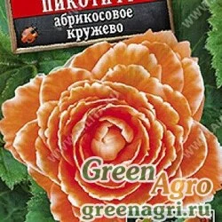 Семена пакетированные КОМ Бегония Америгибрид пикоти абрикосовое кружево Аэлита Ц