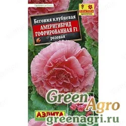 Семена пакетированные КОМ Бегония Америгибрид розовая Аэлита Ц