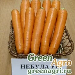 Семена Небула F1 Морковь 100 000шт
