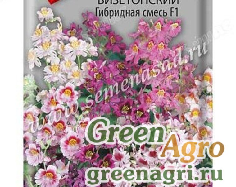 Схизантус букет из шоколада