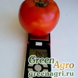 Семена 3725 F1 Томат индетерминантный 500 шт.