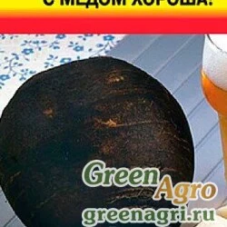 Семена пакетированные Редька С Медом Хороша Зимняя Урожай у дачи Ц