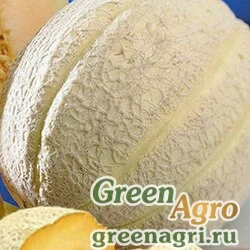 Семена Дыня Награда (банка-0,5кг) (инкруст, сем) , Агрофирма Поиск-Профи