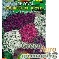Семена пакетированные Алиссум Волшебные круги Плазма Ц