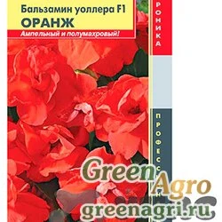 Бальзамин Уоллера Оранж Плазма Ц