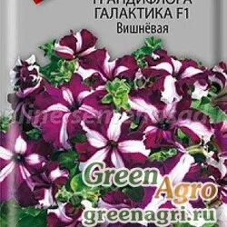 Семена пакетированные Петуния Галактика Вишневая Поиск Ц