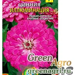 Семена пакетированные Циния Иллюминация Плазма Ц