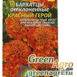 Бархатцы Красный герой Плазма Ц
