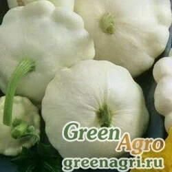 Семена Патиссон Диск  (упак-50 гр.)