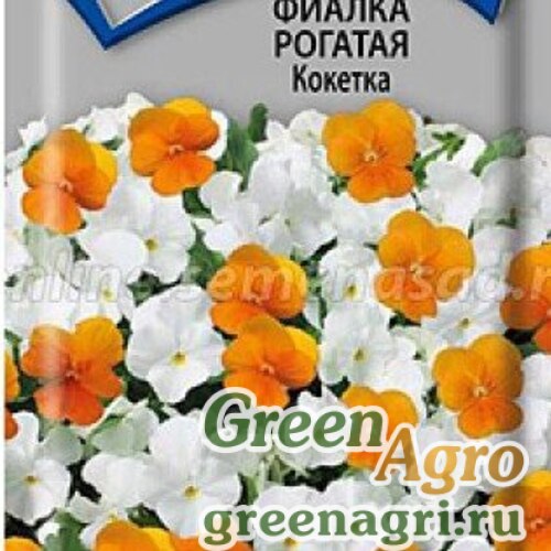 Фиалка рогатая Монблан