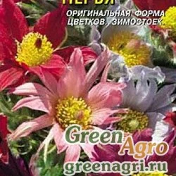 Семена пакетированные Прострел Перья Плазма Ц