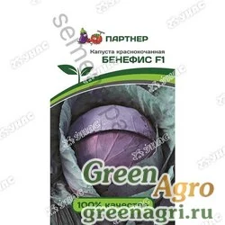 Капуста к/к Бенефис Партнер Ц