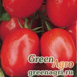 Семена Томат Челнок (упак-50 гр.)