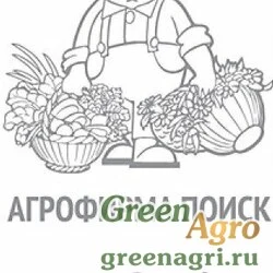Семена пакетированные Бархатцы Мери Хелен прямост. Поиск Б