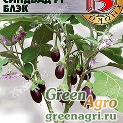 Пакетированные семена овощей - Баклажан Синдбад F1 Блэк Биотехника Ц