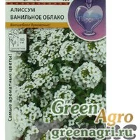 Семена пакетированные Алиссум Ванильное облако НК Ц
