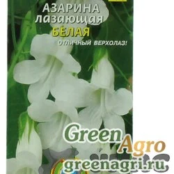 Семена пакетированные Азарина лазающая Белая Плазма Ц