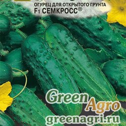 Семена пакетированные Огурец Семкросс F1 , 1 гр
