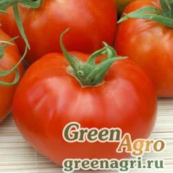 Семена Томат Волгоградский скороспелый 323 5 гр.