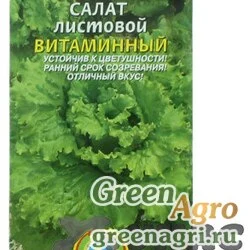 Салат Витаминный Плазма Ц