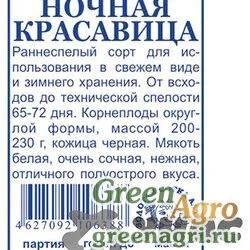 Редька Ночная красавица Сотка Б