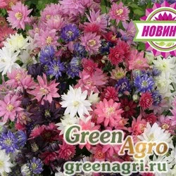 Семена Аквилегия махровая Клементин Микс 1000шт