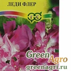Семена пакетированные Ипомея Леди Флер Гавриш Ц
