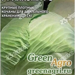 Капуста Анкома Гавриш Ц (ЗАКАЗ)