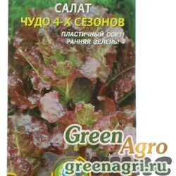 Семена пакетированные Салат Чудо 4-х сезонов Плазма Ц