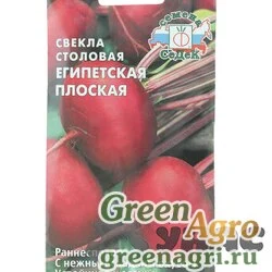 Свекла   Египетская плоская  Седек Ц