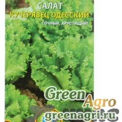 Салат Одесский кучерявец Плазма Ц