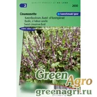Семена Базилик благородный (Ocimum basilicum) "Cinamonette" 50 гр.