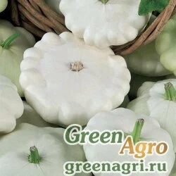 Семена Патиссон Белые 13  (упак-50 гр.)