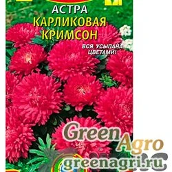 Семена пакетированные Астра Карликовая Кримсон Плазма Ц