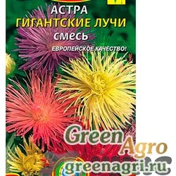 Семена пакетированные Астра  Гигантские Лучи смесь Плазма Ц