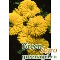 Семена Календула лекарственная (Calendula officinalis) "Bon Bon" (yellow) raw 1000 шт.