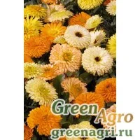 Семена Календула лекарственная (Calendula officinalis) "Bon Bon" (mix) raw 1000 шт.
