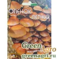 Мицелий Опенок летний (на 12 древесных палочках)