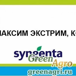 МАКСИМ ЭКСТРИМ, КС