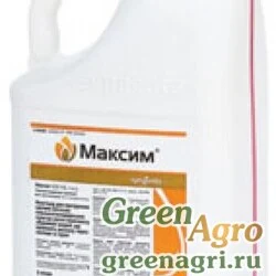 МАКСИМ ПЛЮС, КС