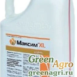 МАКСИМ XL, КС
