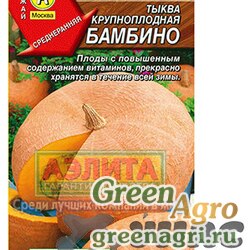 Семена пакетированные Тыква Бамбино Аэлита Ц