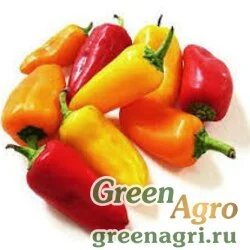 Семена Перец сладкий Линда(1уп-50гр) , Агрофирма Поиск-Профи