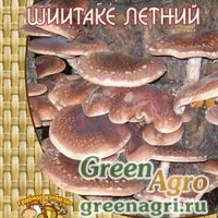 Мицелий Шиитаке летний (12 шт.)