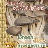 Мицелий Вешенка Королевская (12 шт.)
