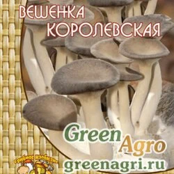 Мицелий Вешенка Королевская (12 шт.)